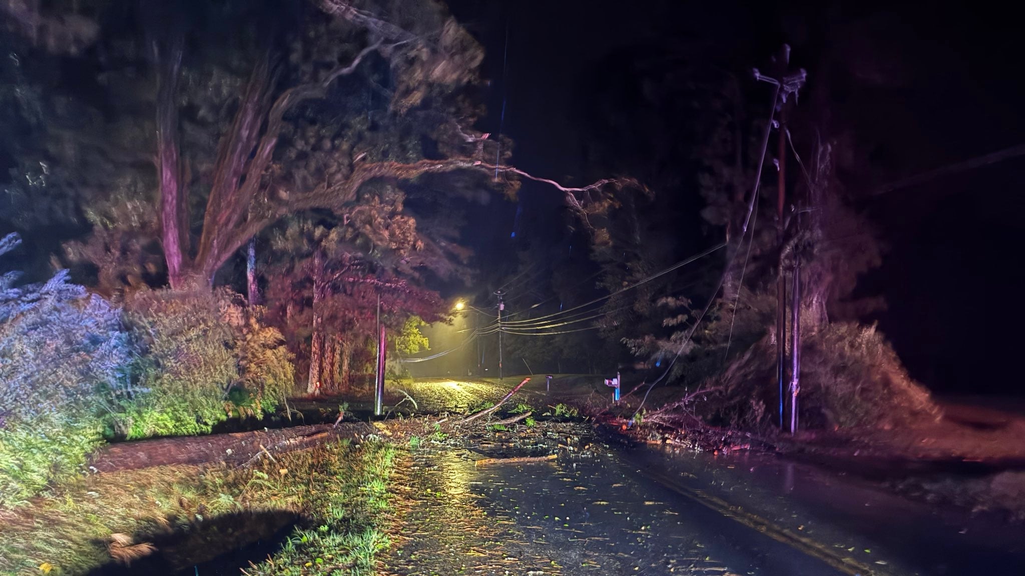Deputy Injured in Alabama by Falling Tree Responding to Hurricane Isaias Crash Scene