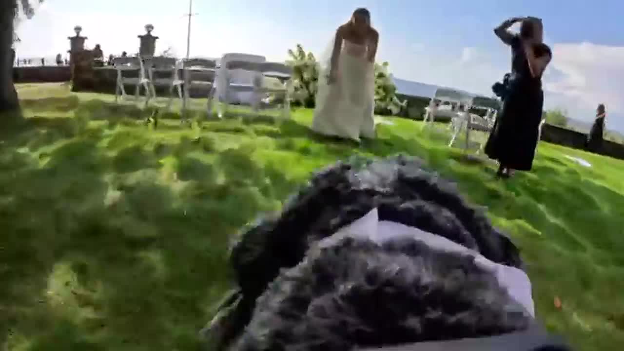 Sheepadoodle Steals the Show in Viral Wedding Video Filmed with GoPro