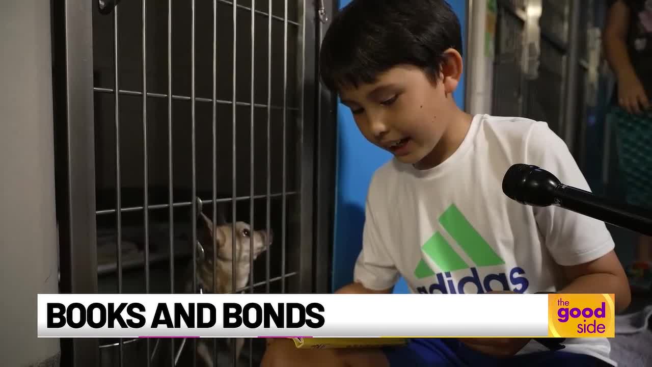 Virginia Shelter Uses Reading Program to Help Animals Find Adopters