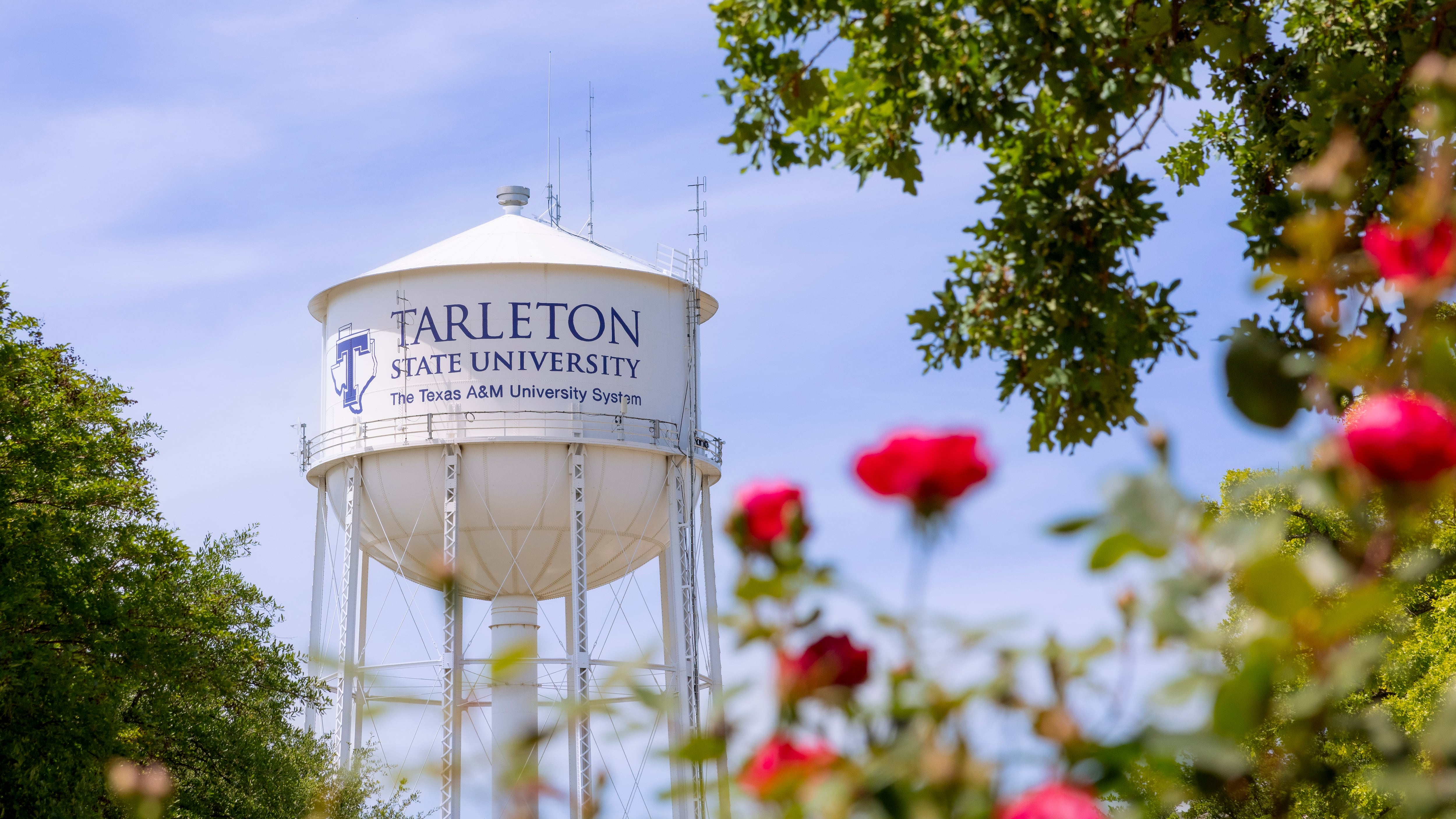 College Rodeo Athlete Dies From Event Injuries in Alpine, Texas