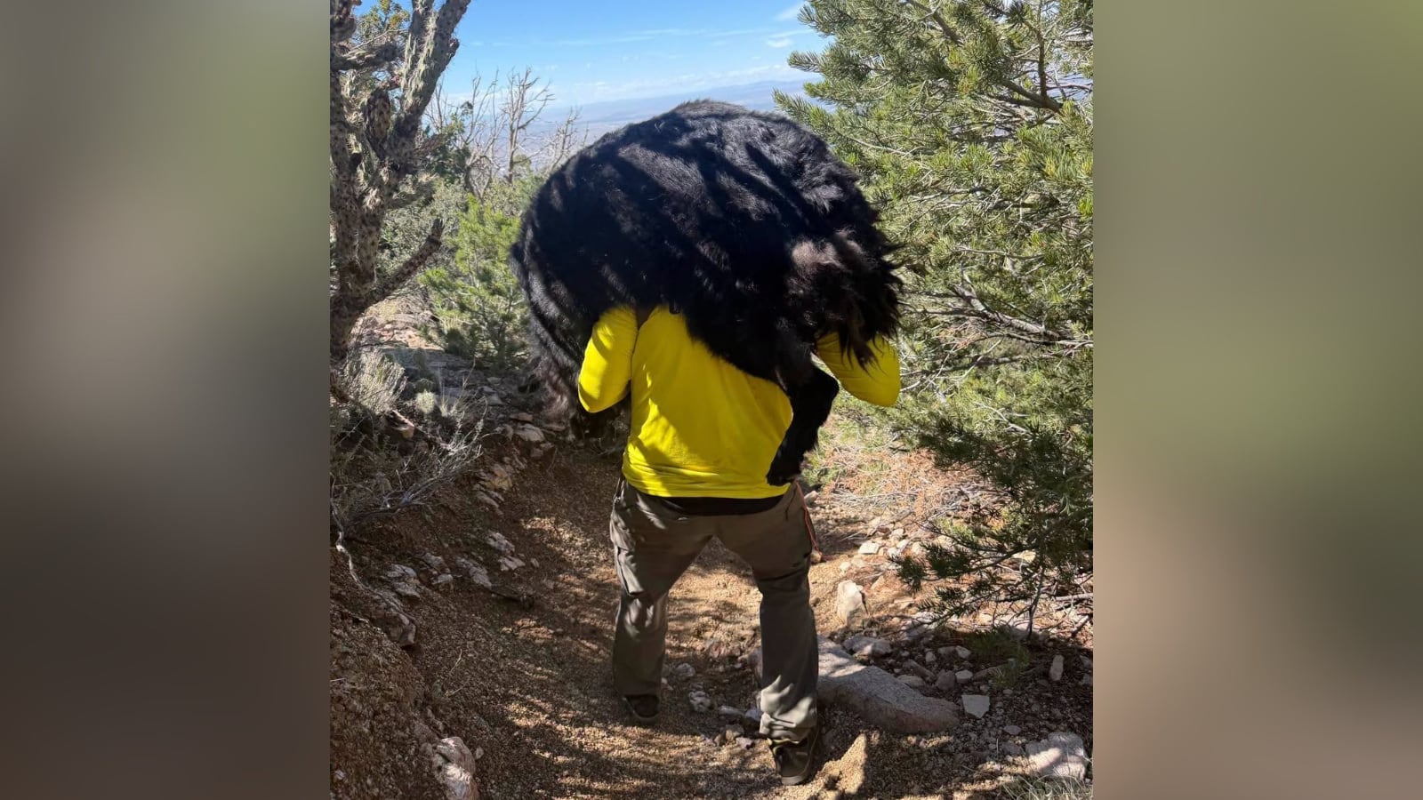Rescuers Carry Exhausted Dog Down Bernalillo County Mountain